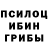 Галлюциногенные грибы Magic Shrooms Test Teeest