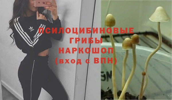 альфа пвп Нефтекумск