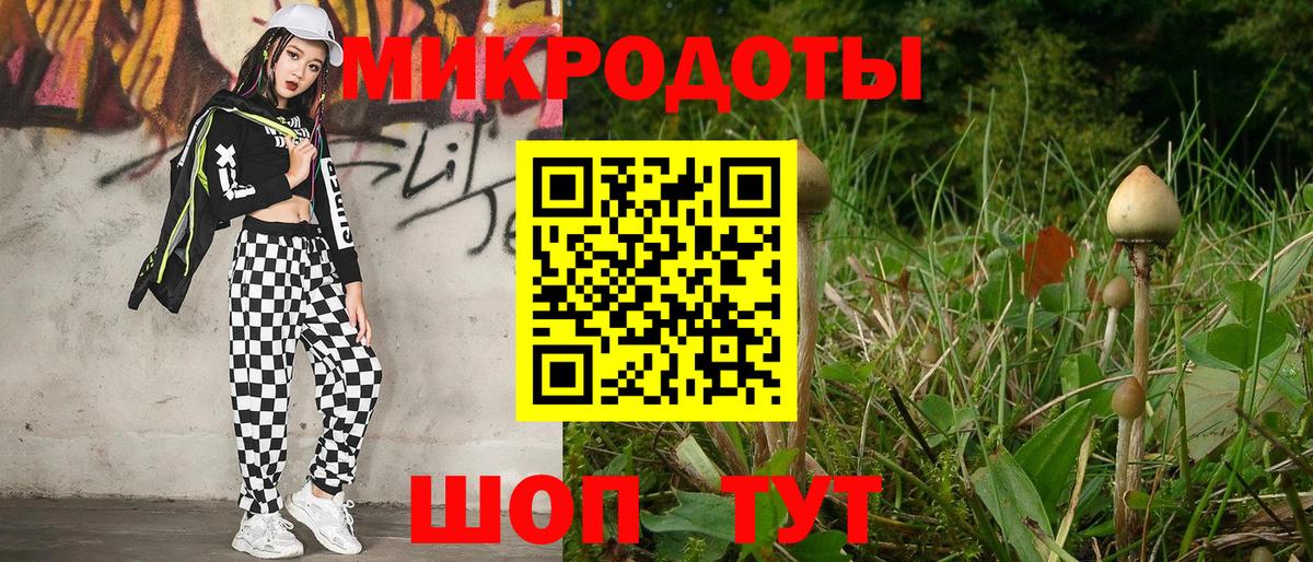 Галлюциногенные грибы Psilocybine cubensis Конаково