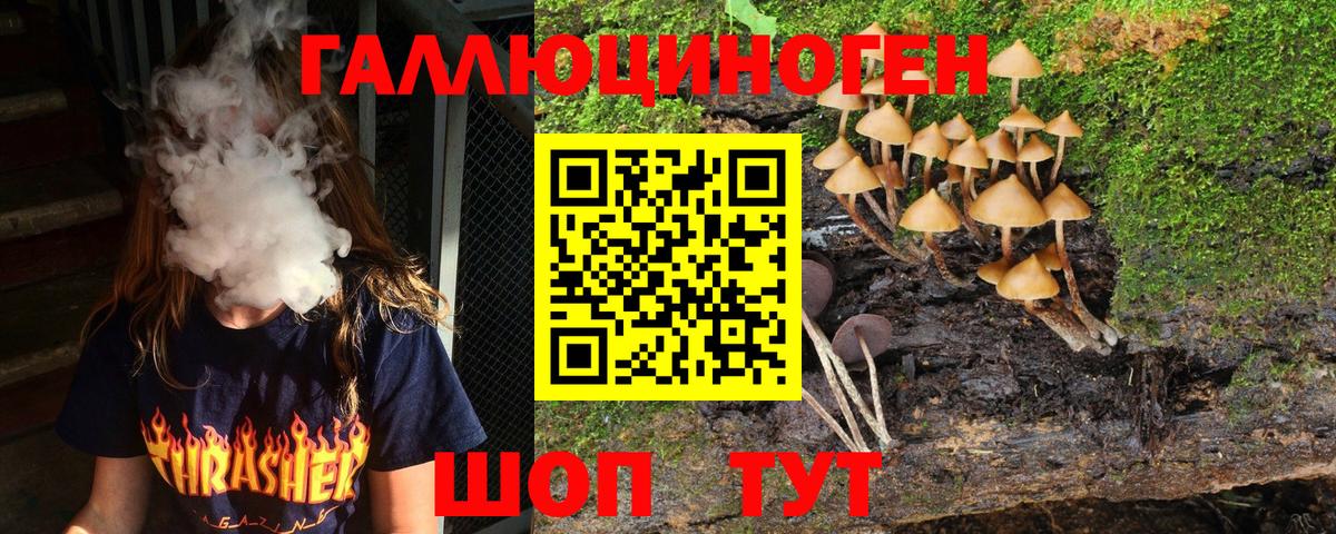 Псилоцибиновые грибы Psilocybe  Галлюциногенные грибы мухоморы  дарнет шоп  Конаково  Вход с VPN 